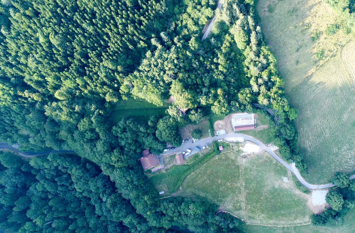 Vue aérienne de la Pension Canine du Sapin et ses 2,2 hectares de nature